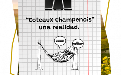 “Coteaux Champenois” una realidad