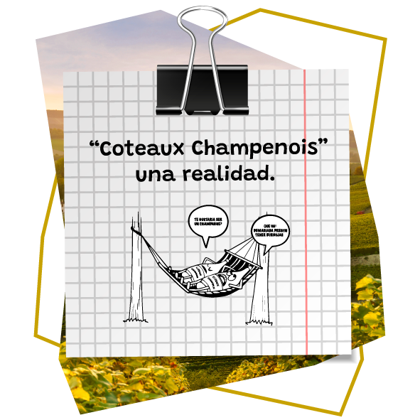 “Coteaux Champenois” una realidad