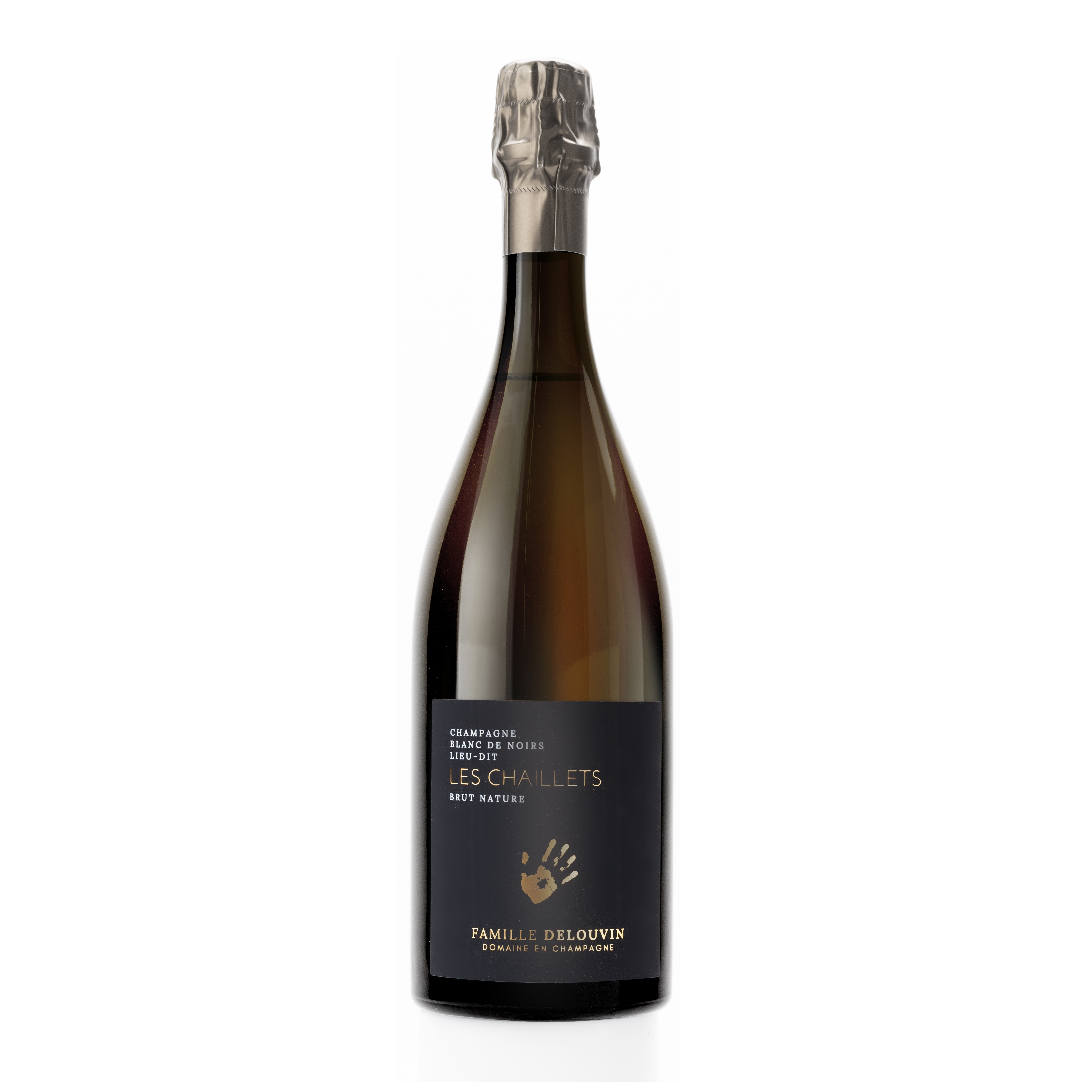Famille Delouvin Les Chaillets Blanc de Noirs Brut Nature