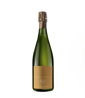 Champagne