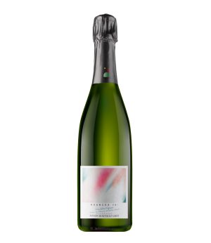Champagne Nuances 70' Extra Brut 100% Chardonnay de Manon Butillez-Guer. Procedente de la Montagne de Reims.