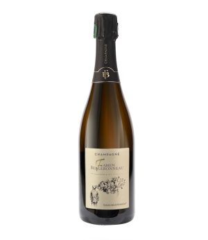 Fabien Bergeronneau Dans Mes Pensées Brut Nature