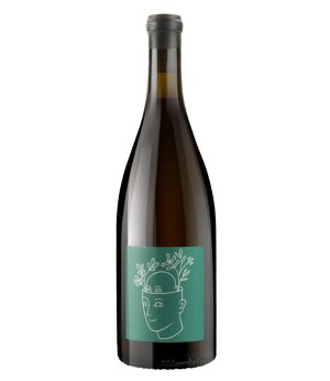 Coteaux Champenois La Vie est Stroebel 2020 de Timothée Stroebel.