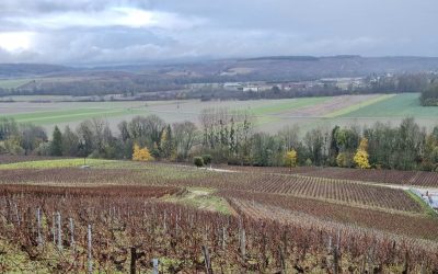 L’Aube: La otra champagne. Nuevas añadas y cuvées de Étienne Sandrin.