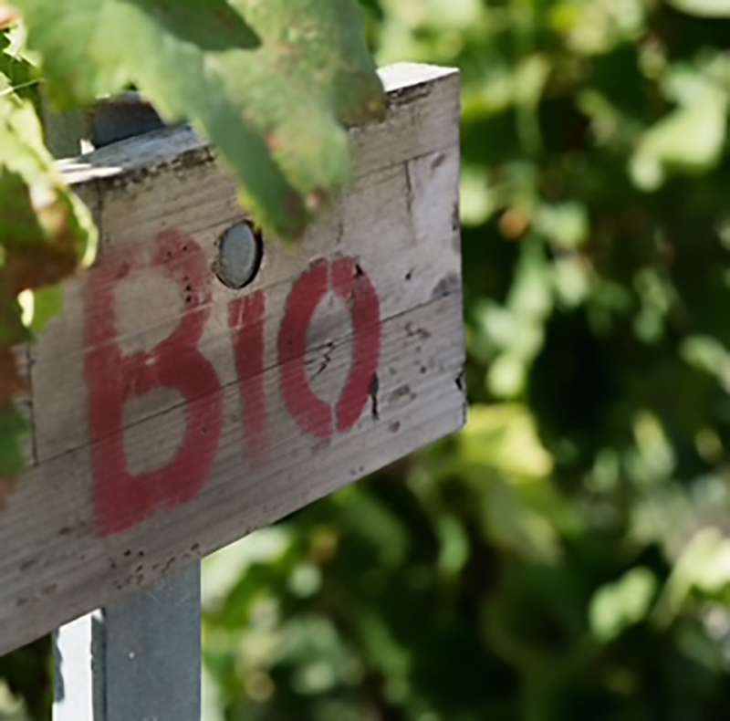 bio-jerome-lefevre-champagne-locos-por-las-burbujas Champagne Jérôme Lefèvre.