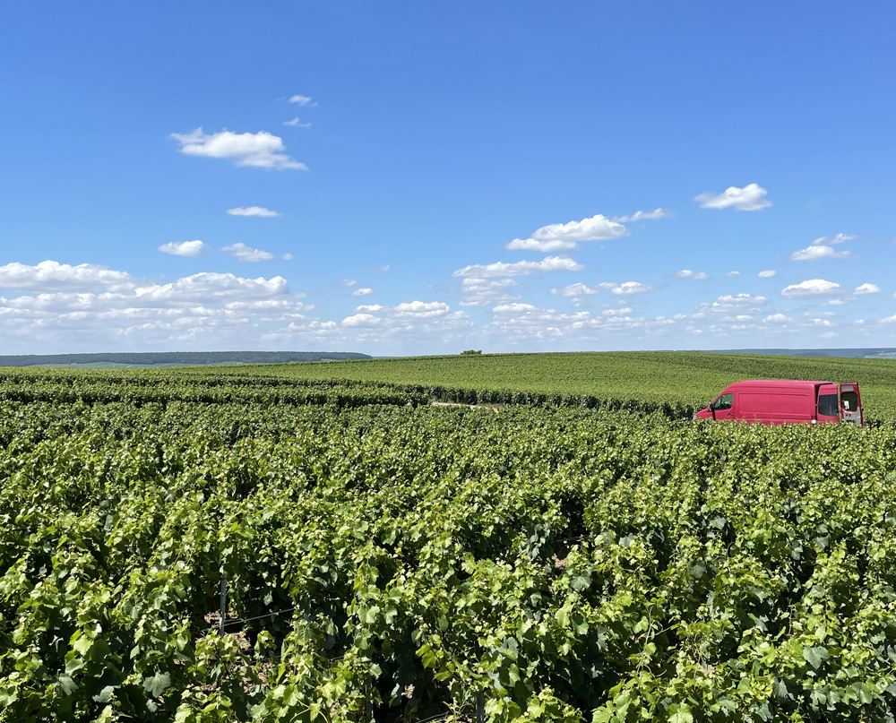 Blog Champagne Natural - Philippe Lancelot. Blog Champagne Natural - Philippe Lancelot.