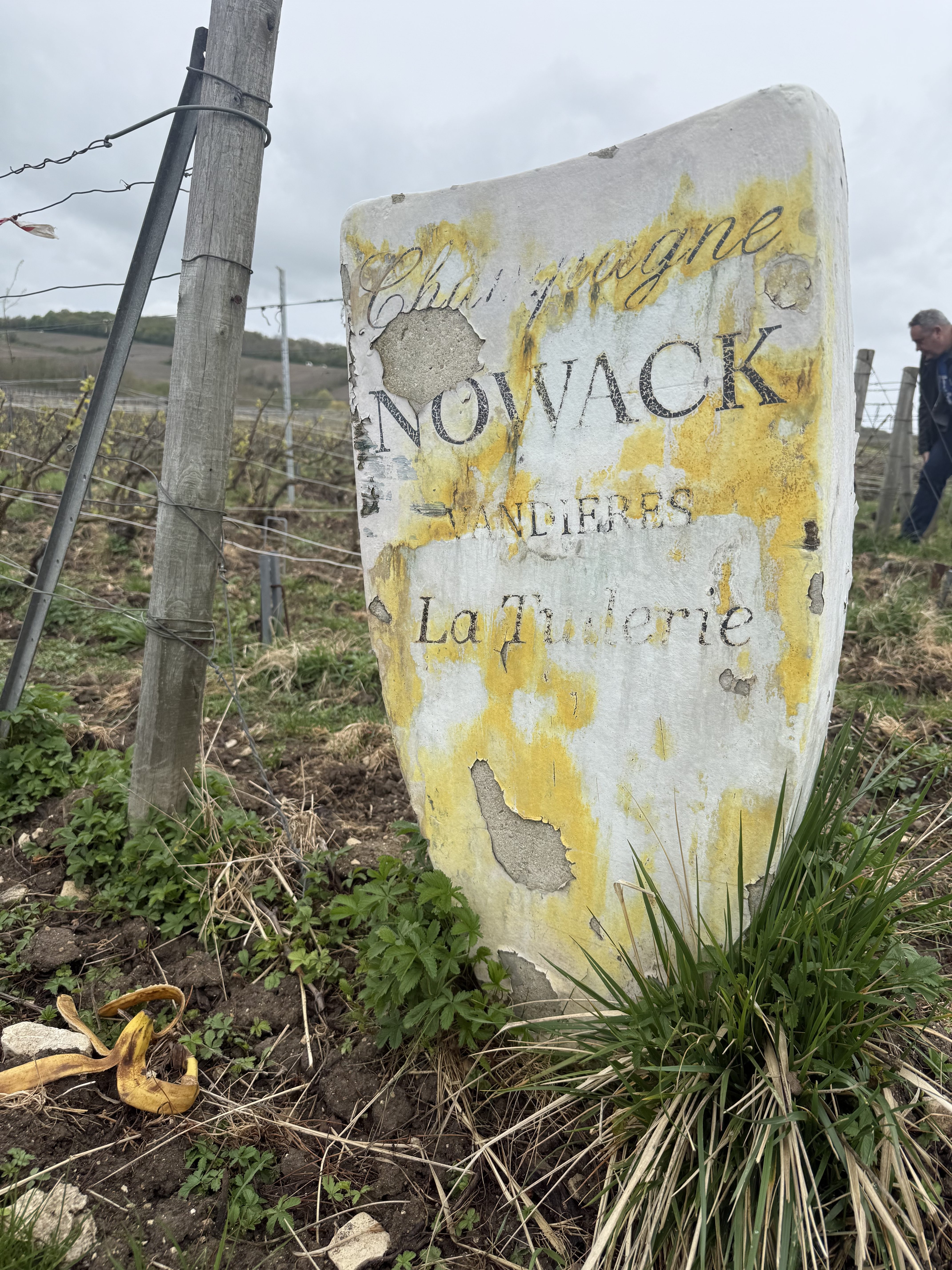 Champagne La Tuilerie Flavien Nowack