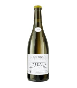 Coteaux Champenois Blanc Fontinette 2018 100% Meunier de Flavien Nowack. Procedente del Vallée de la Marne.
