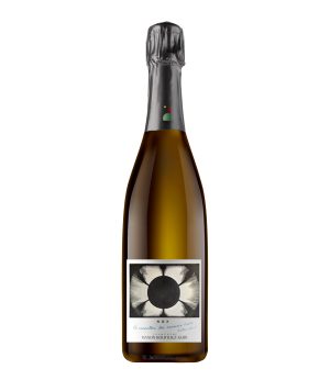 Champagne Nox Extra Brut Assemblage de Manon Boutillez-Guer. Procedente de la Montagne de Reims.