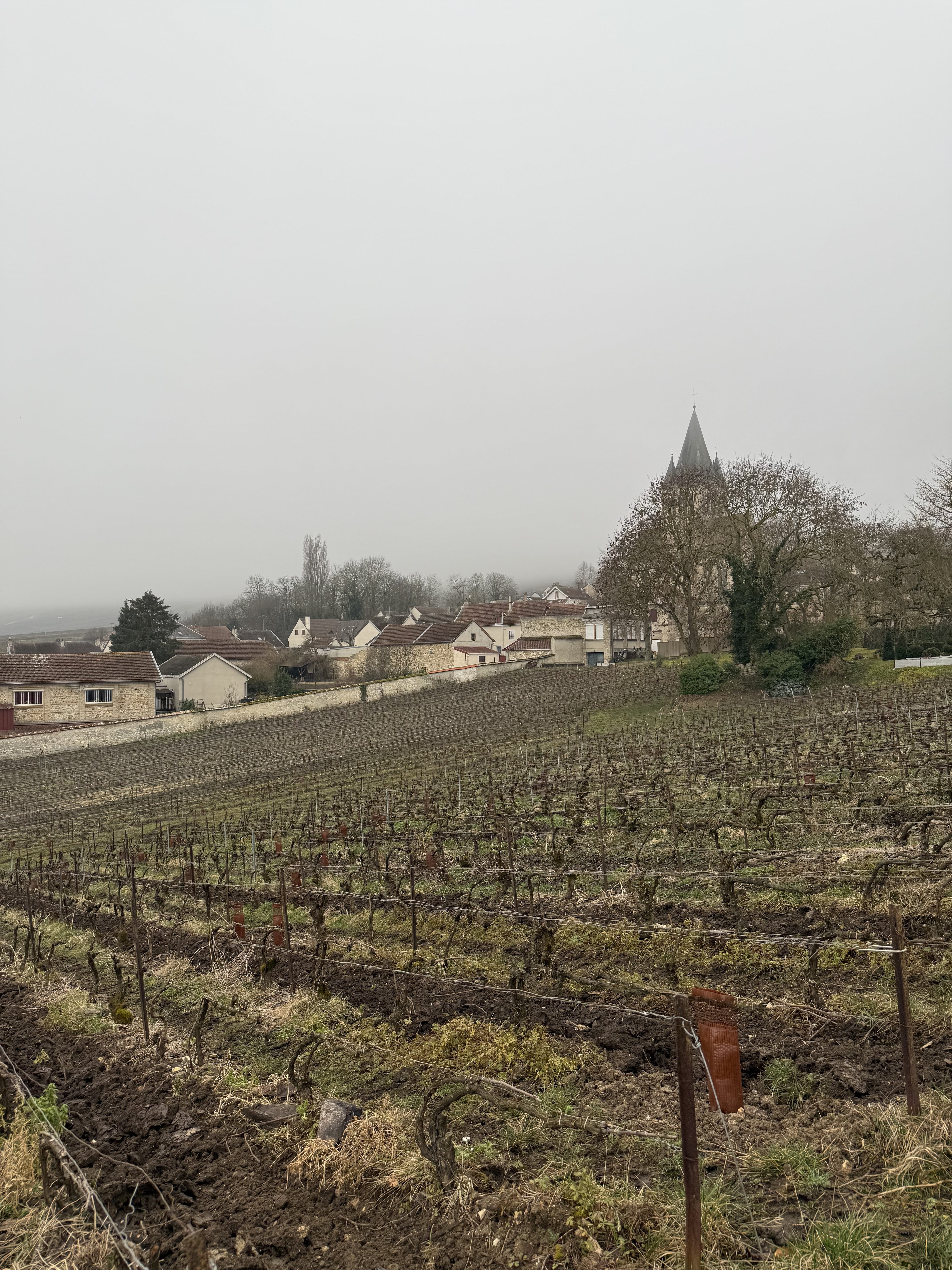Montagne de Reims Fabien Bergeronneau Montagne de Reims Fabien Bergeronneau