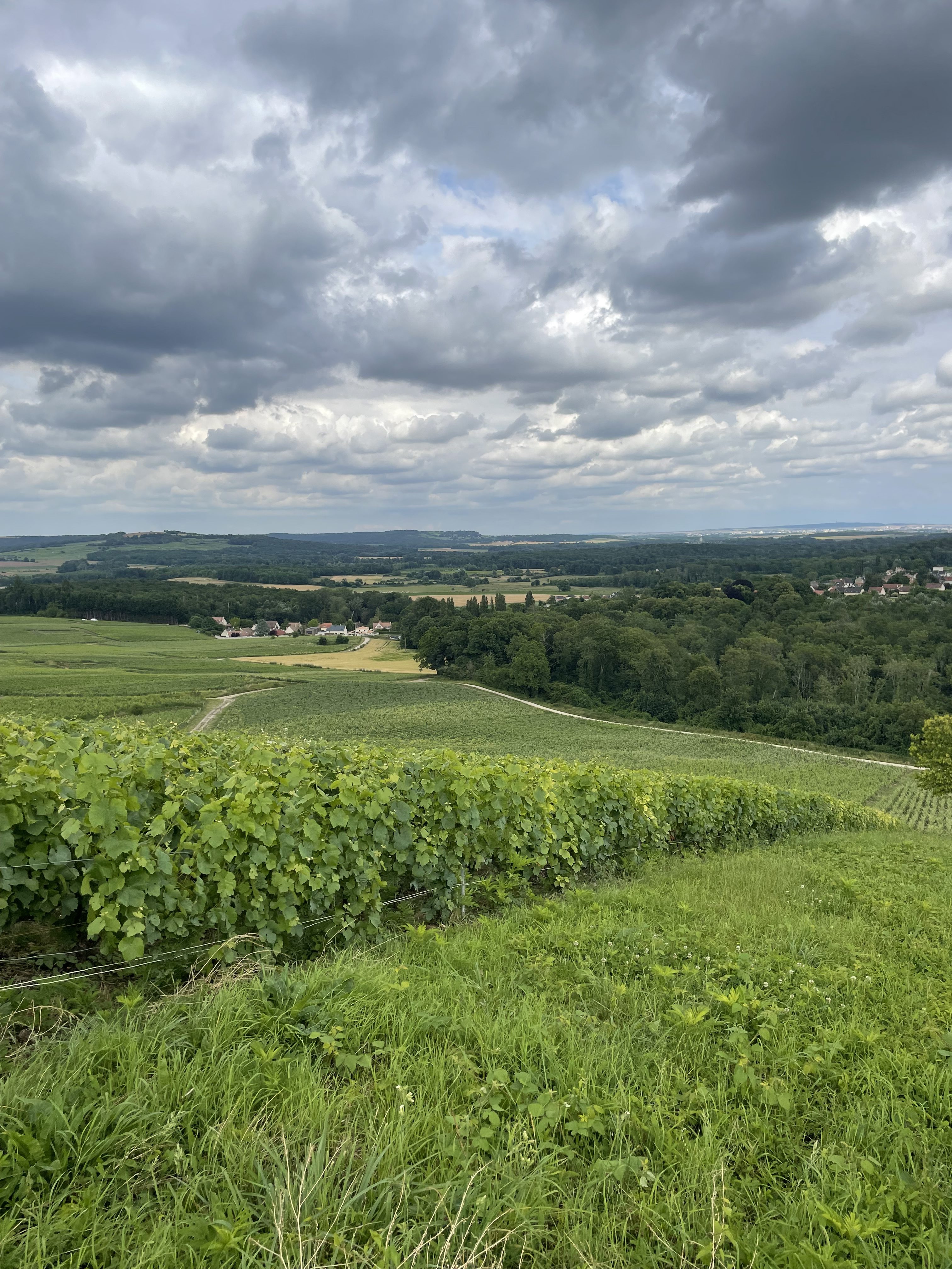 Montagne de Reims J.M. Gandon Montagne de Reims J.M. Gandon