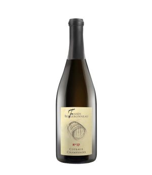 Coteaux Champenois Nº17 de Fabien Bergeronneau. Procedente de la Montagne de Reims.