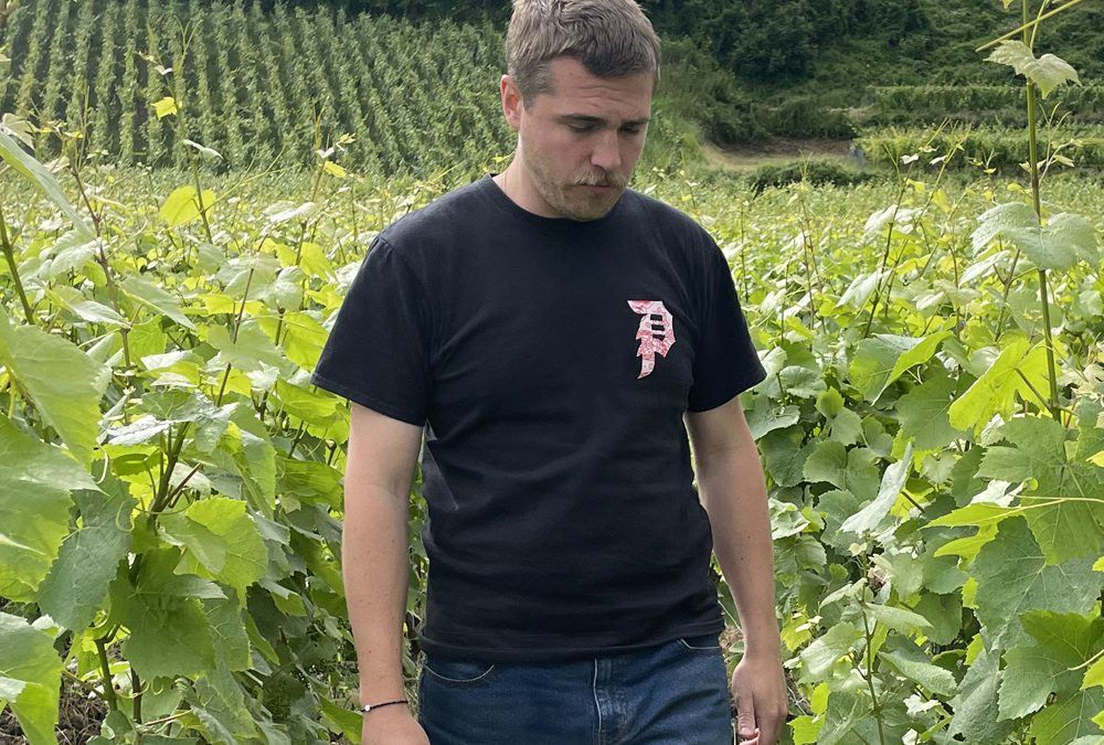 El misil de Branscourt. Champagne Les Pièces de Victor Gandon.