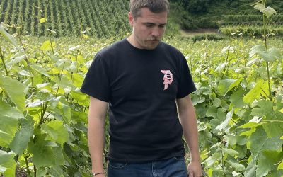 El misil de Branscourt. Champagne Les Pièces de Victor Gandon.
