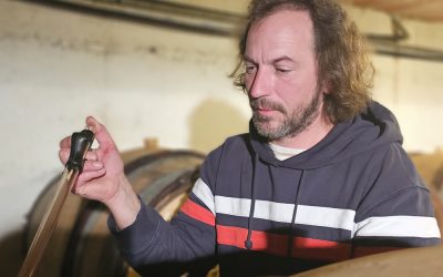 2001: Dos hectáreas sin bodega. 2025 El champagne que todos quieren beber.